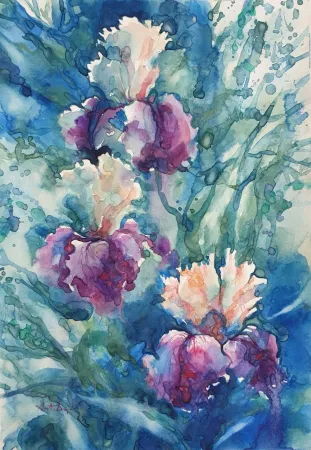 Высокая Bearded Irises