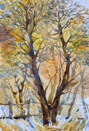 Forked Весна Trees