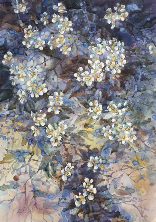 Night Jasmine