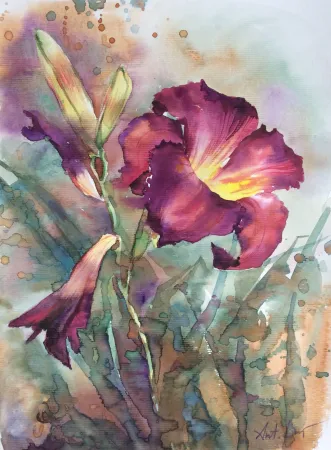 Фиолетовый Daylily