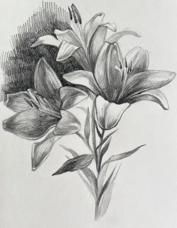 Glowing Lilies