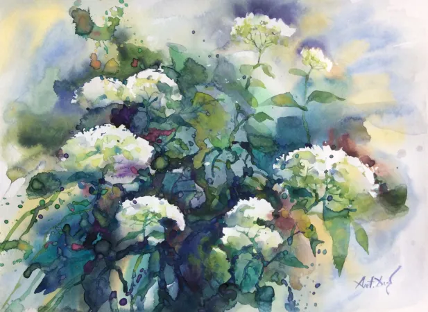 White Hydrangea Bush