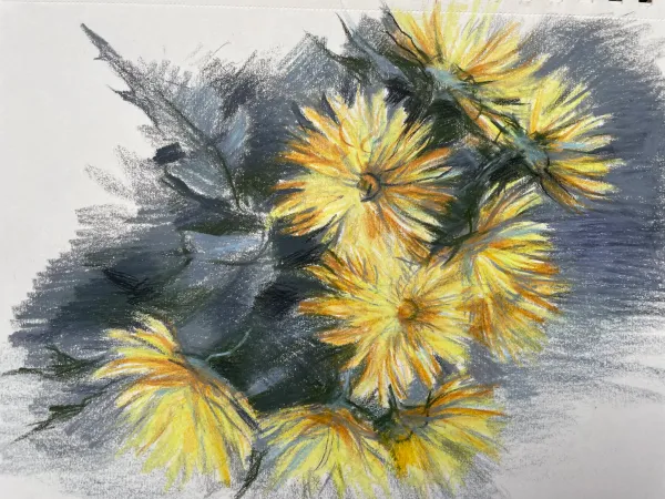 Yellow Chrysanthemums