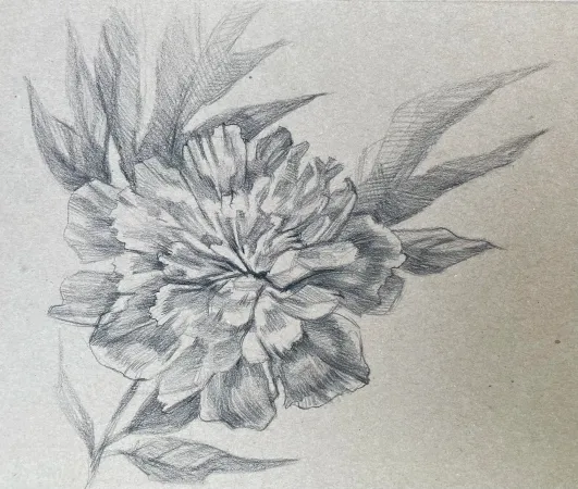 Peony Study