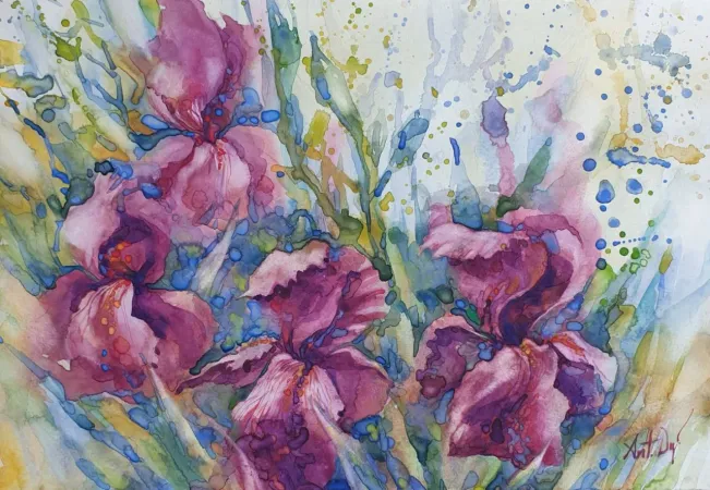 Trio Of Irises