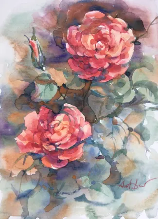 Tea Roses