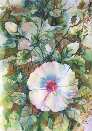 White Bindweed