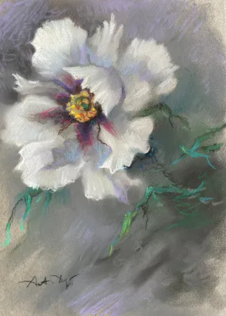 White Peony
