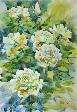 White Roses Bush