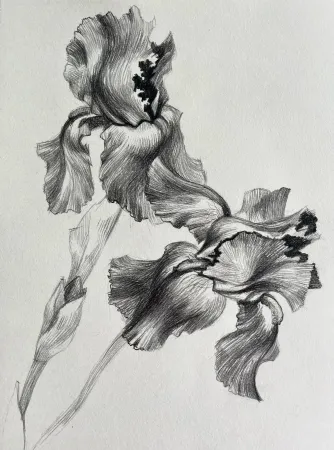 Twin Irises