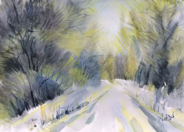 Солнечный Snowy Path